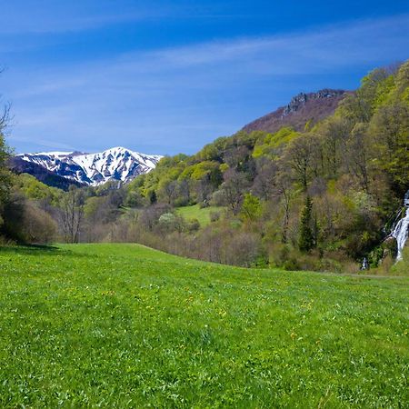 La Dormeuse Du Val Villa Chambon-sur-Lac Dış mekan fotoğraf