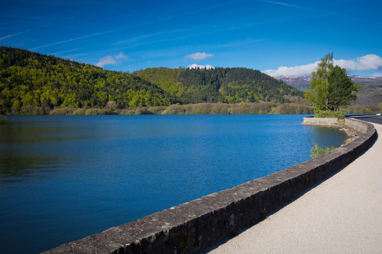 La Dormeuse Du Val Villa Chambon-sur-Lac Dış mekan fotoğraf