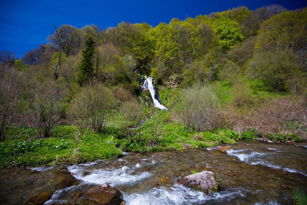 La Dormeuse Du Val Villa Chambon-sur-Lac Dış mekan fotoğraf